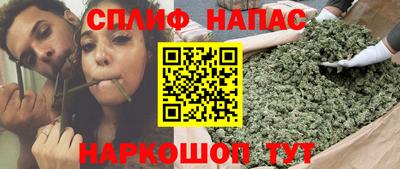 ECSTASY Бийск