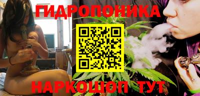 ECSTASY Бийск