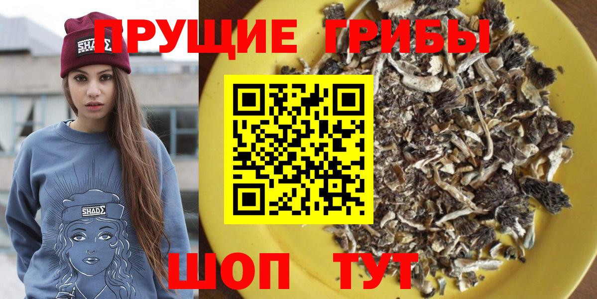 Галлюциногенные грибы Psilocybe Кизляр
